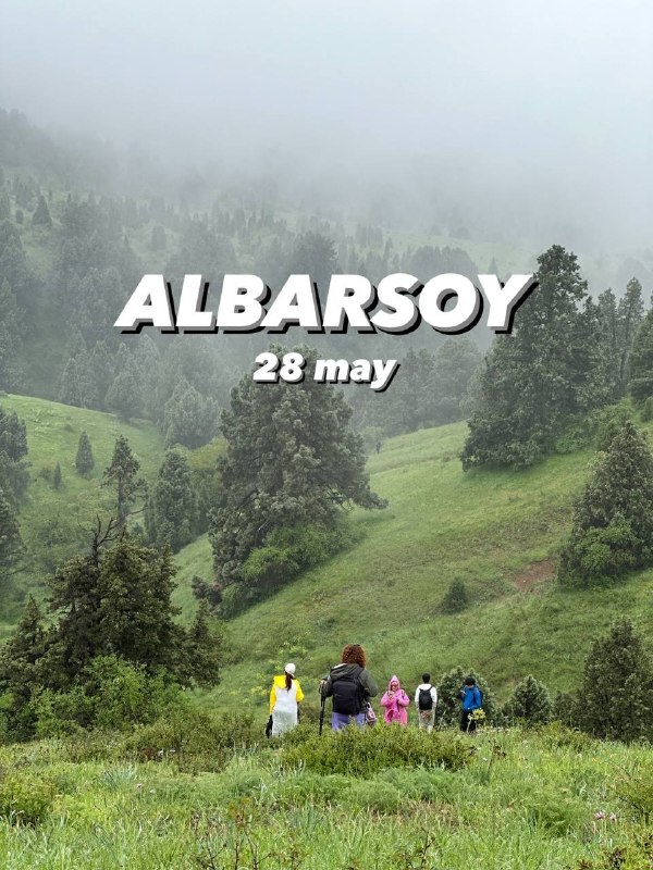 Лес Албарсай